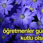 Öğretmenler Günü ile ilgili Hikayeler