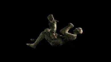 Taş kesilen pompei halkı ve resimleri