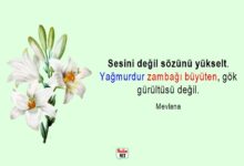 Hoş sözler