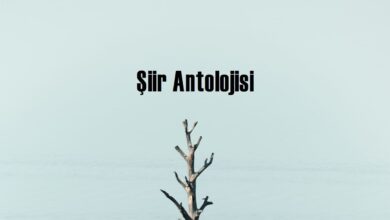 Şiir antolojisi