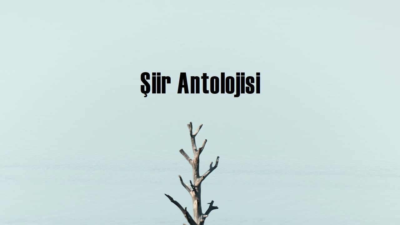 Şiir antolojisi