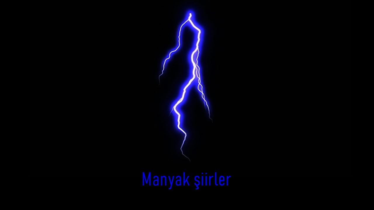 Manyak şiirler