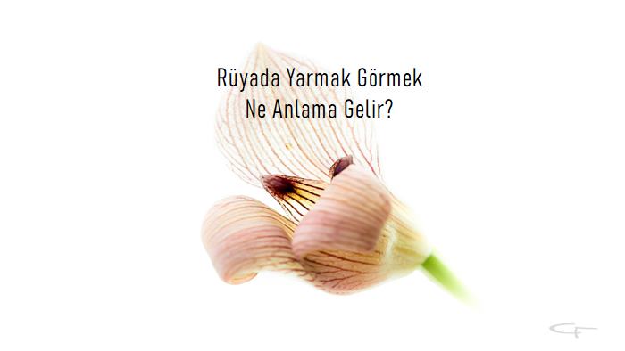 Rüyada Yarmak Görmek