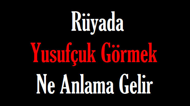 Rüyada Yusufçuk Görmek