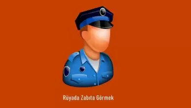 Rüyada Zabıta Görmek