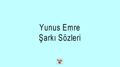 Yunus Emre şarkı sözleri