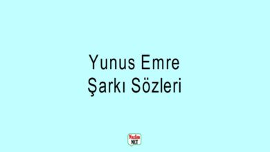 Yunus Emre şarkı sözleri