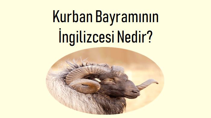 Kurban Bayramının İngilizcesi