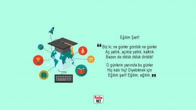 Eğitim ile ilgili şiirler