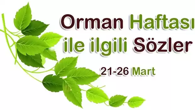 Orman Haftası İle İlgili Sözler