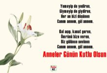 Anneler Günü şiirleri