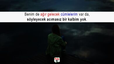 Acımasız sözler