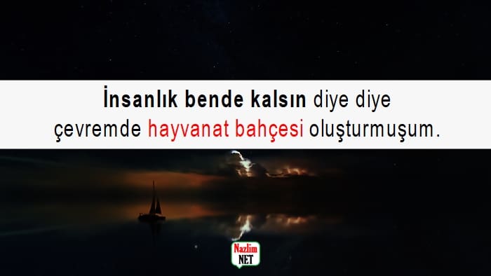 Delikanlı sözleri resimli