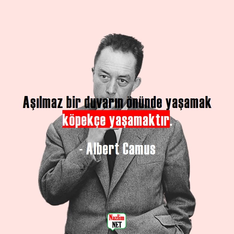 7. Albert Camus sözleri
