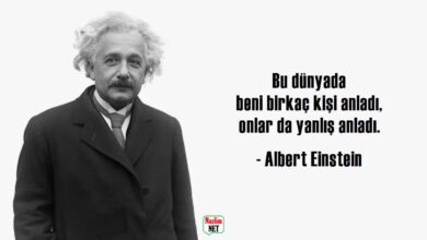 Albert Einstein sözleri