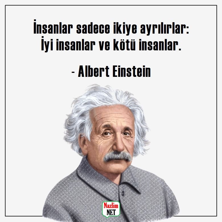 10. Albert Einstein sözleri