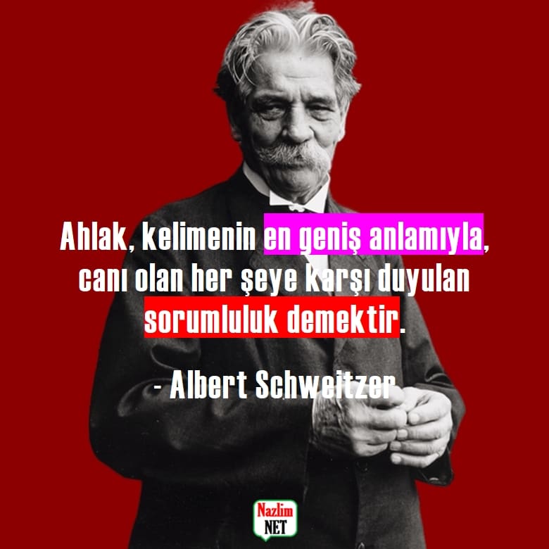 2. Albert Schweitzer sözleri