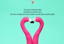 İçten sözler mesajlar