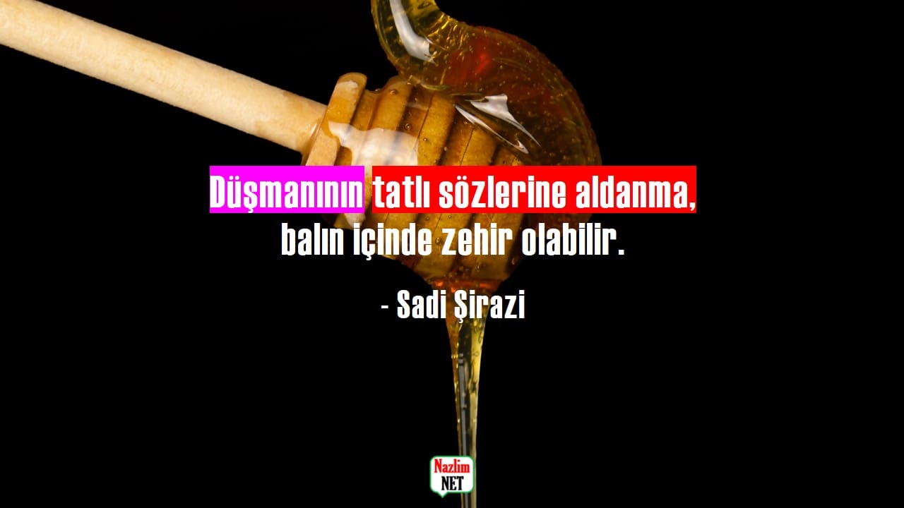 Zehir sözler