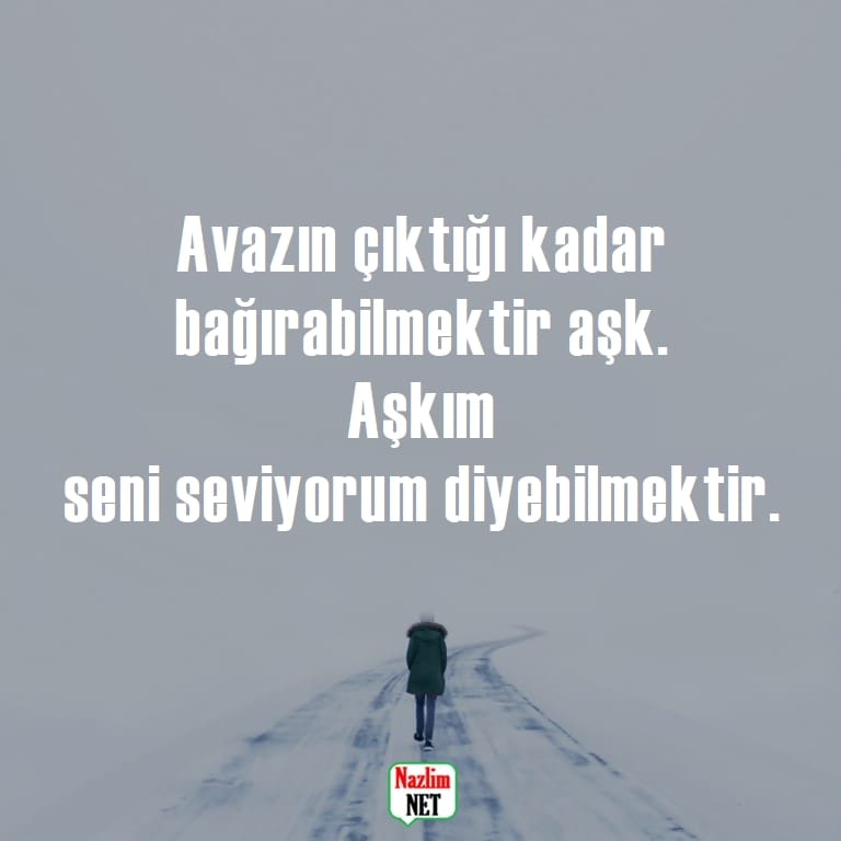 Duyulmamış sözler