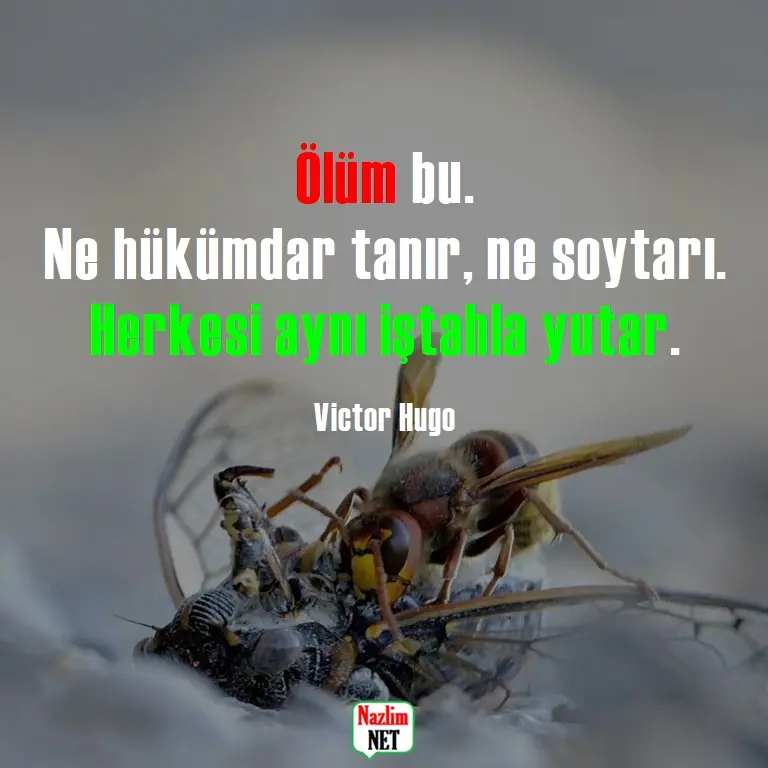 Duygusal ölüm sözleri