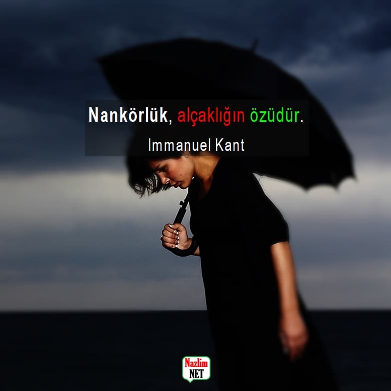 Nankörlük sözleri