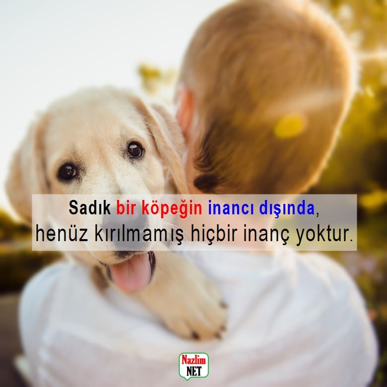 Köpek sözleri 2024