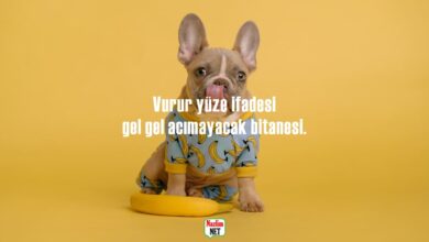 Vurur Yüze İfadesi Sözleri