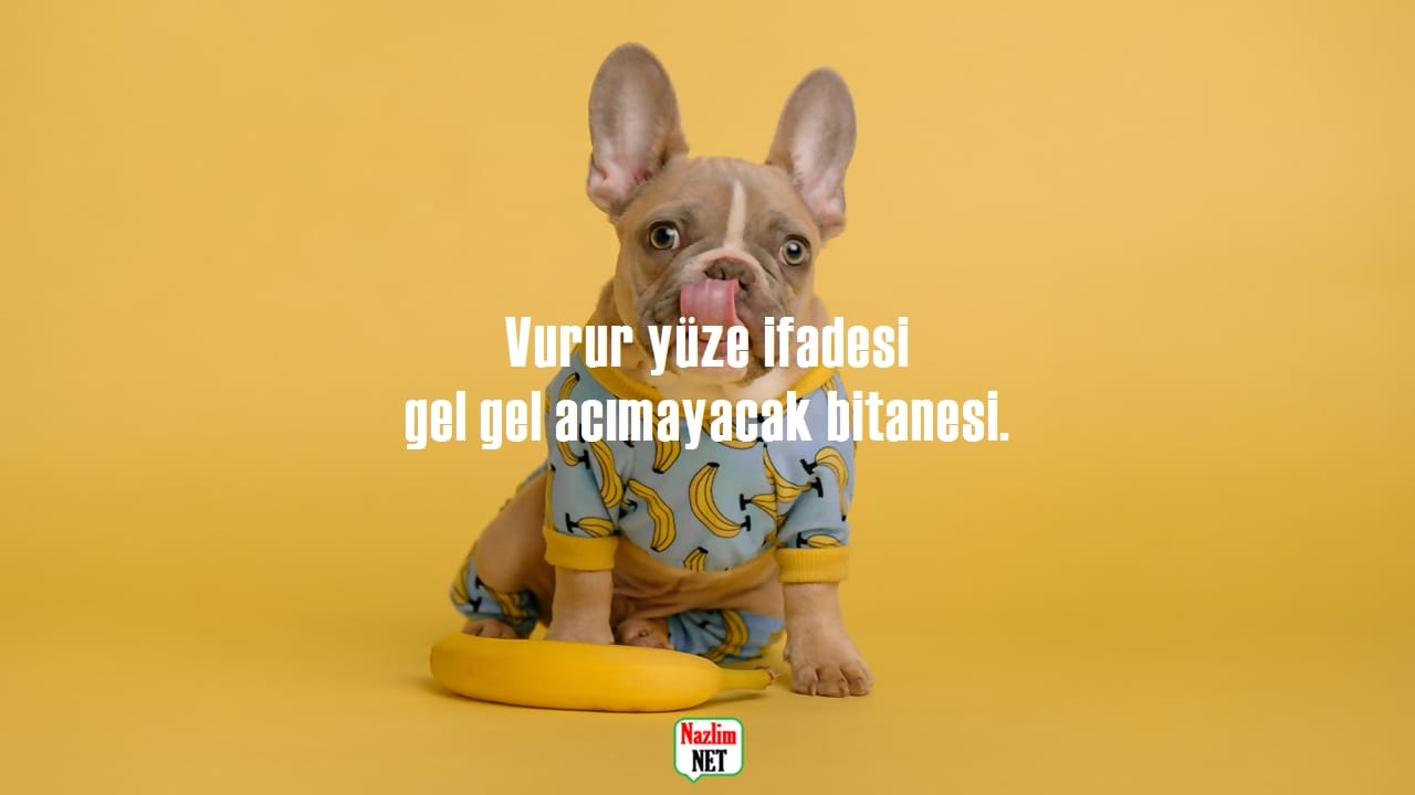 Vurur Yüze İfadesi Sözleri