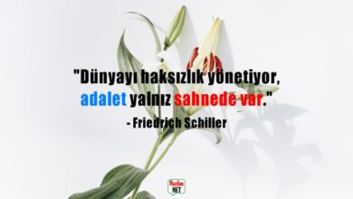 Haksızlık sözleri