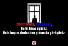 Reis sözleri