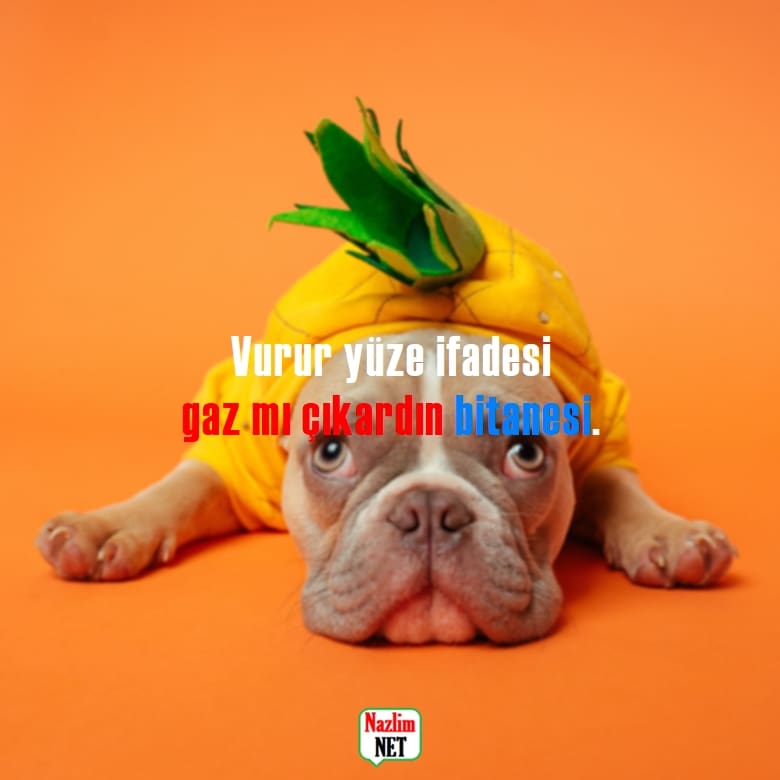 1. Vurur Yüze İfadesi Sözleri