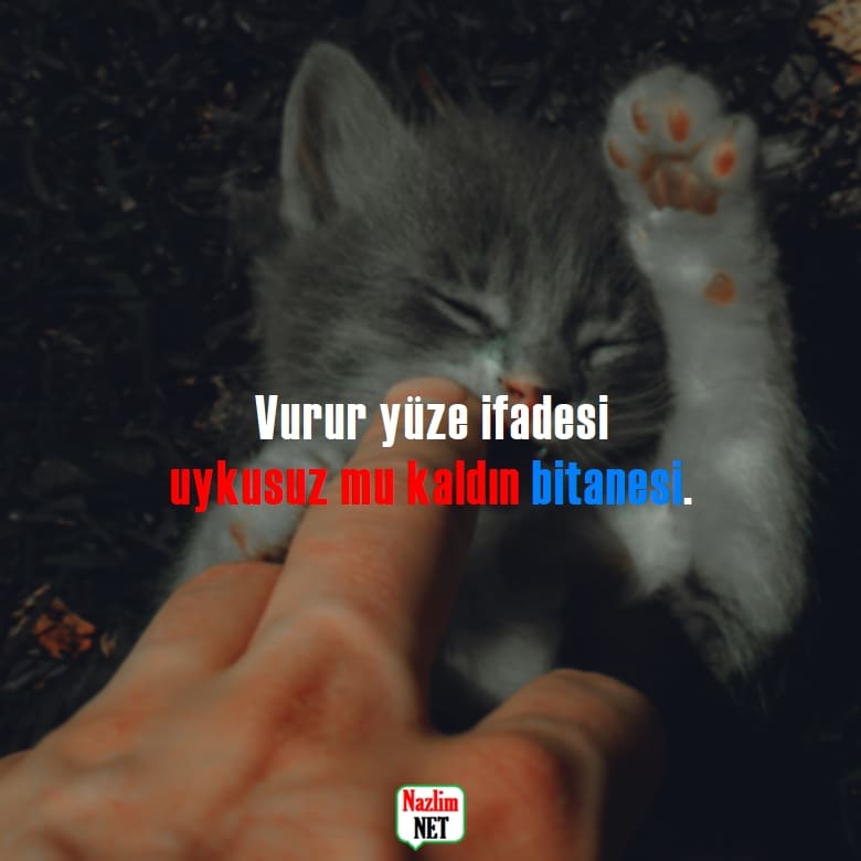 4. Vurur Yüze İfadesi Sözleri