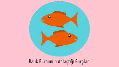 Balık Burcunun Anlaştığı Burçlar