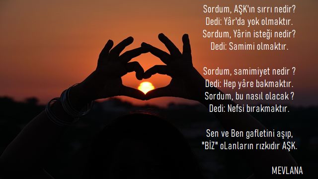 Sordum Aşkın Sırrı Nedir Şiiri