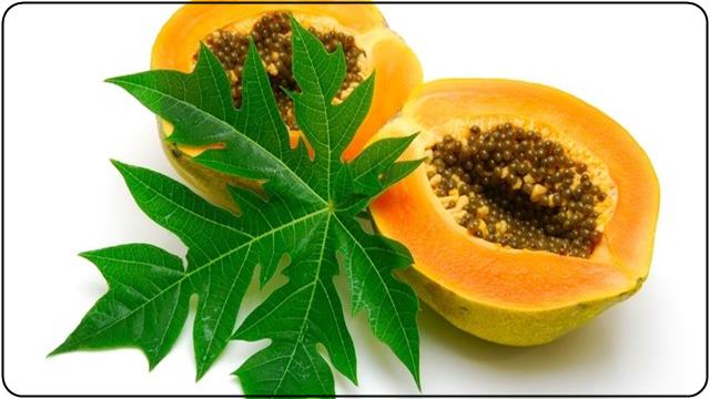 Papaya