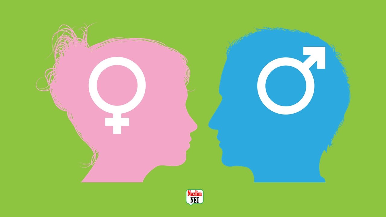 Kadın ve erkek arasındaki 38 fark
