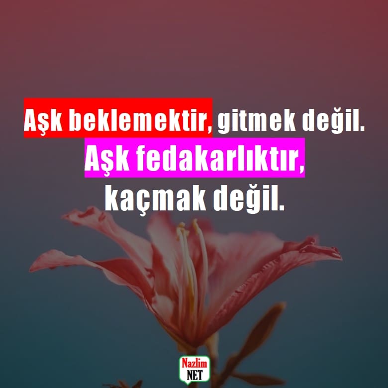 Fedakarlık sözleri