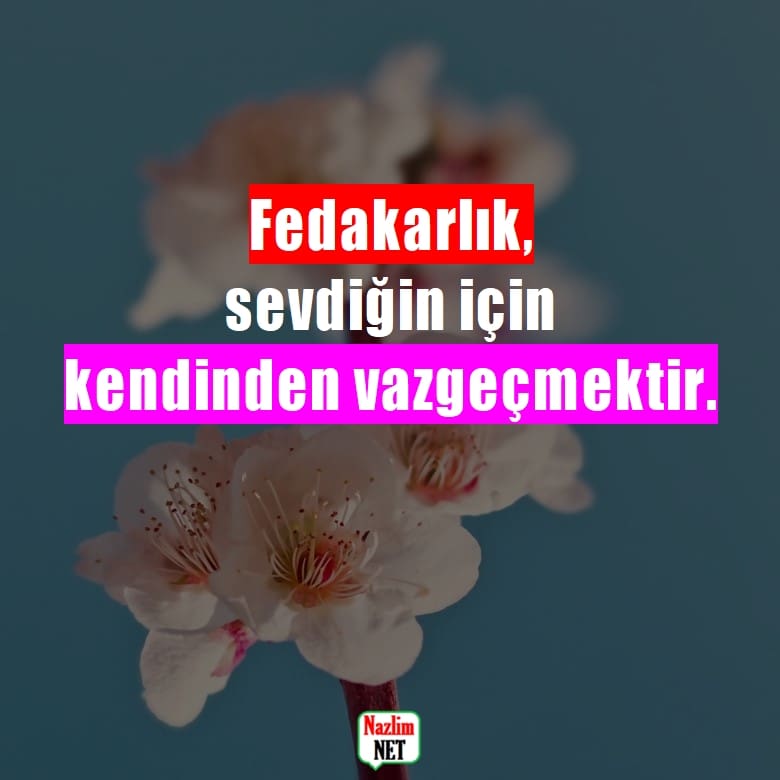 Fedakarlık sözleri