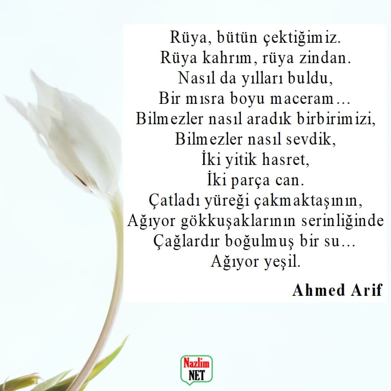 Ahmed Arif şiirleri