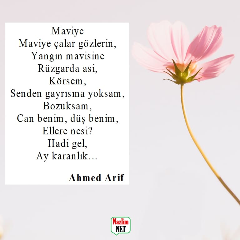 Ahmed Arif şiirleri