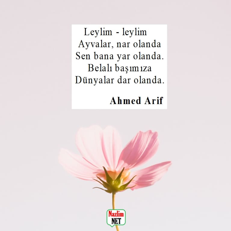 Ahmed Arif şiirleri