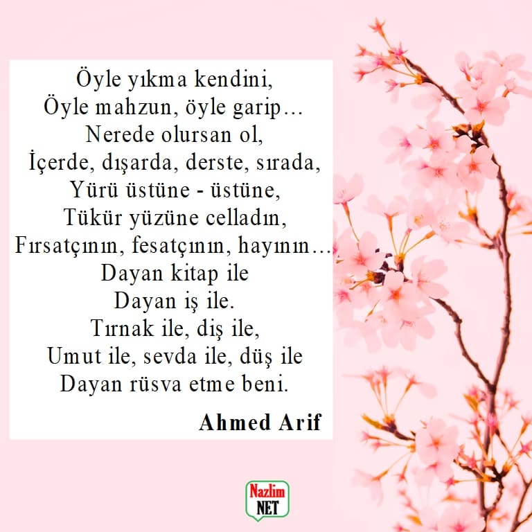 Ahmed Arif şiirleri