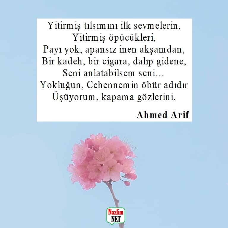 Ahmed Arif şiirleri