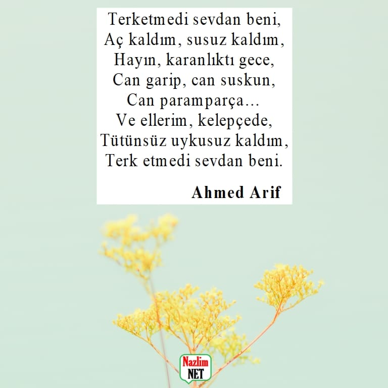 Ahmed Arif şiirleri