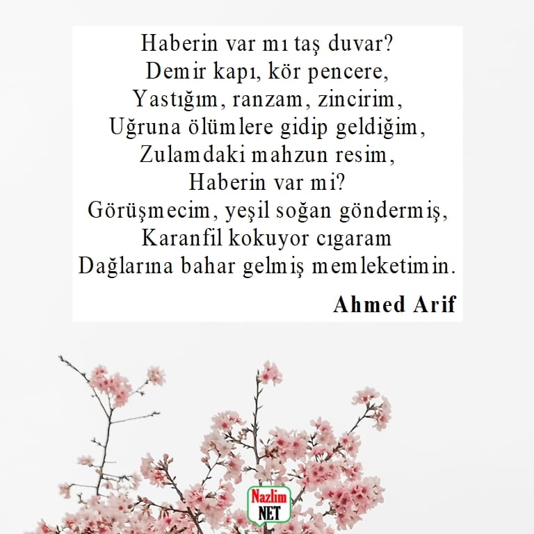 Ahmed Arif şiirleri