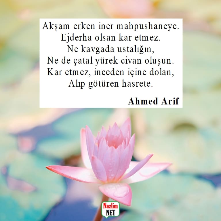 Ahmed Arif şiirleri