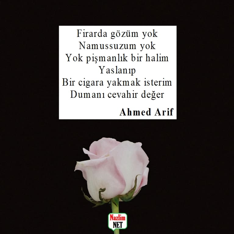Ahmed Arif şiirleri