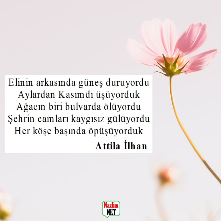 Attila İlhan şiirleri