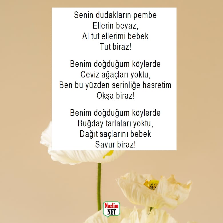 Cahit Külebi şiirleri